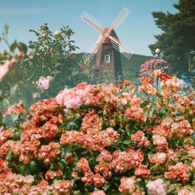 365体育官方唯一入口手机app下载