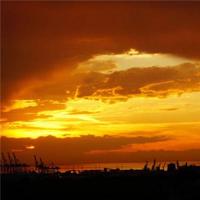 万博·体育手机app下载