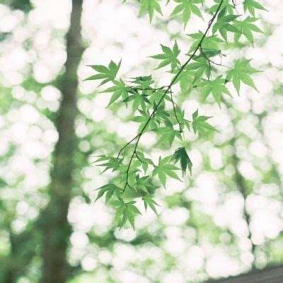 澳门黄金网站免费打开