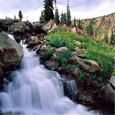 皇冠app下载官网下载